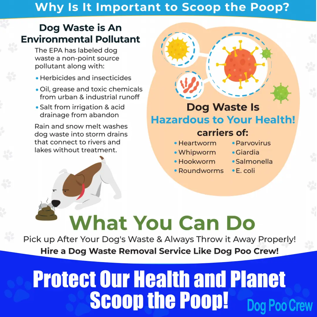 International Pooper Scooper Week