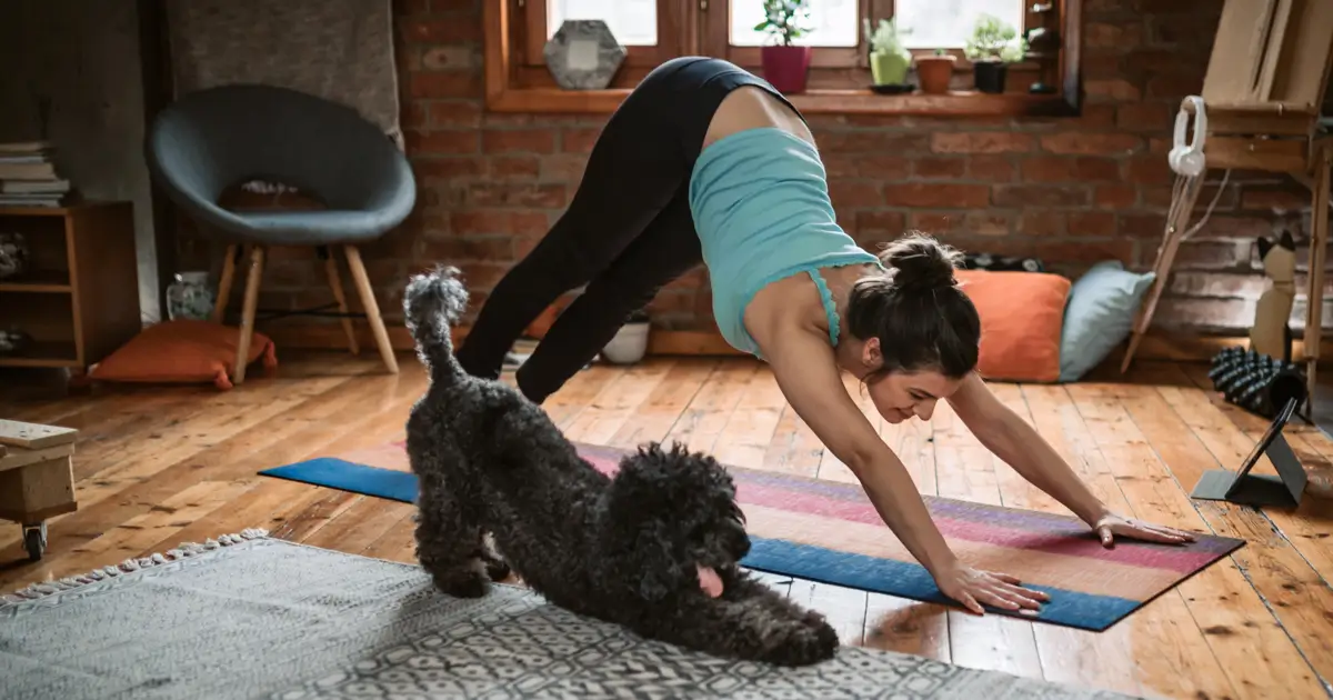 Pet Wellness Tips