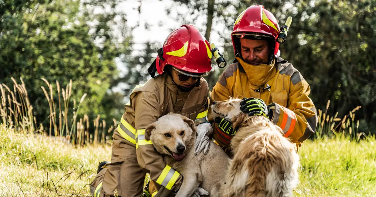 pet-fire-safety-tips